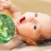 Top 25 loại lá tắm mát da, trị rôm sảy cho trẻ sơ sinh