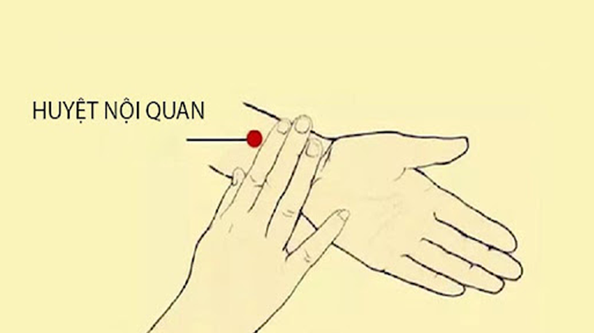 Những cách chống say xe hiệu quả mà cô nàng mê dịch chuyển cần biết