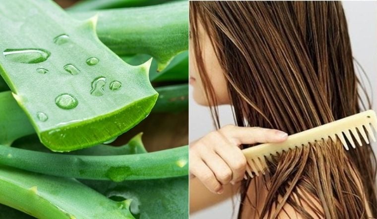 Cũng như làn da của các chị em, mái tóc muốn đẹp, dày bồng bềnh thì bạn phải quan tâm chăm sóc.