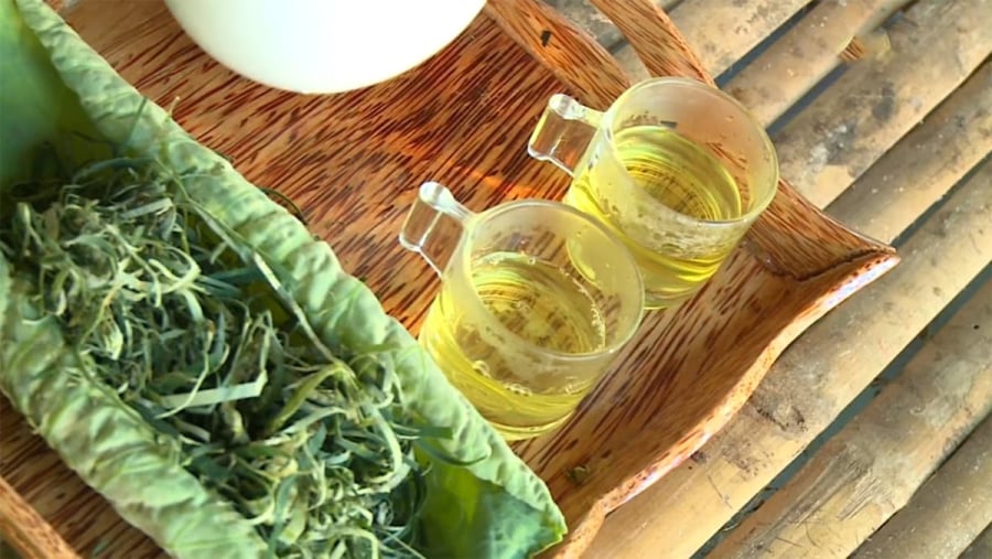 Uống trà lá sen mỗi ngày