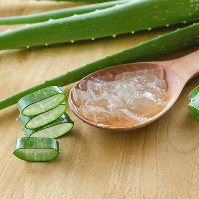 Đây là loại cây thân thảo sống lâu năm và sở hữu cực kỳ nhiều thành phần dưỡng chất quan trọng cho da như vitamin C, E, A, B12 cùng các axit amin khác.