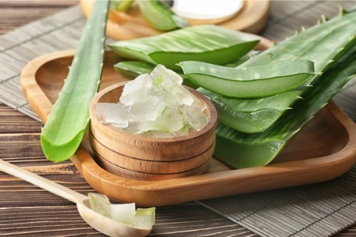 Cây lô hộ được coi như