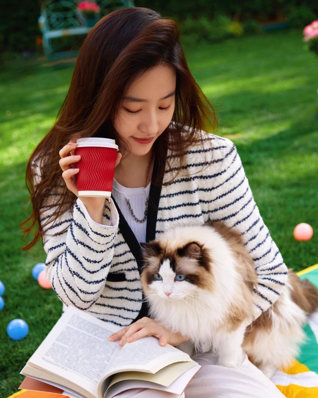 lưu diệc phi và chú mèo