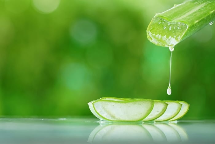 hất gel nha đam vừa cấp nước làm dịu vết bỏng nắng