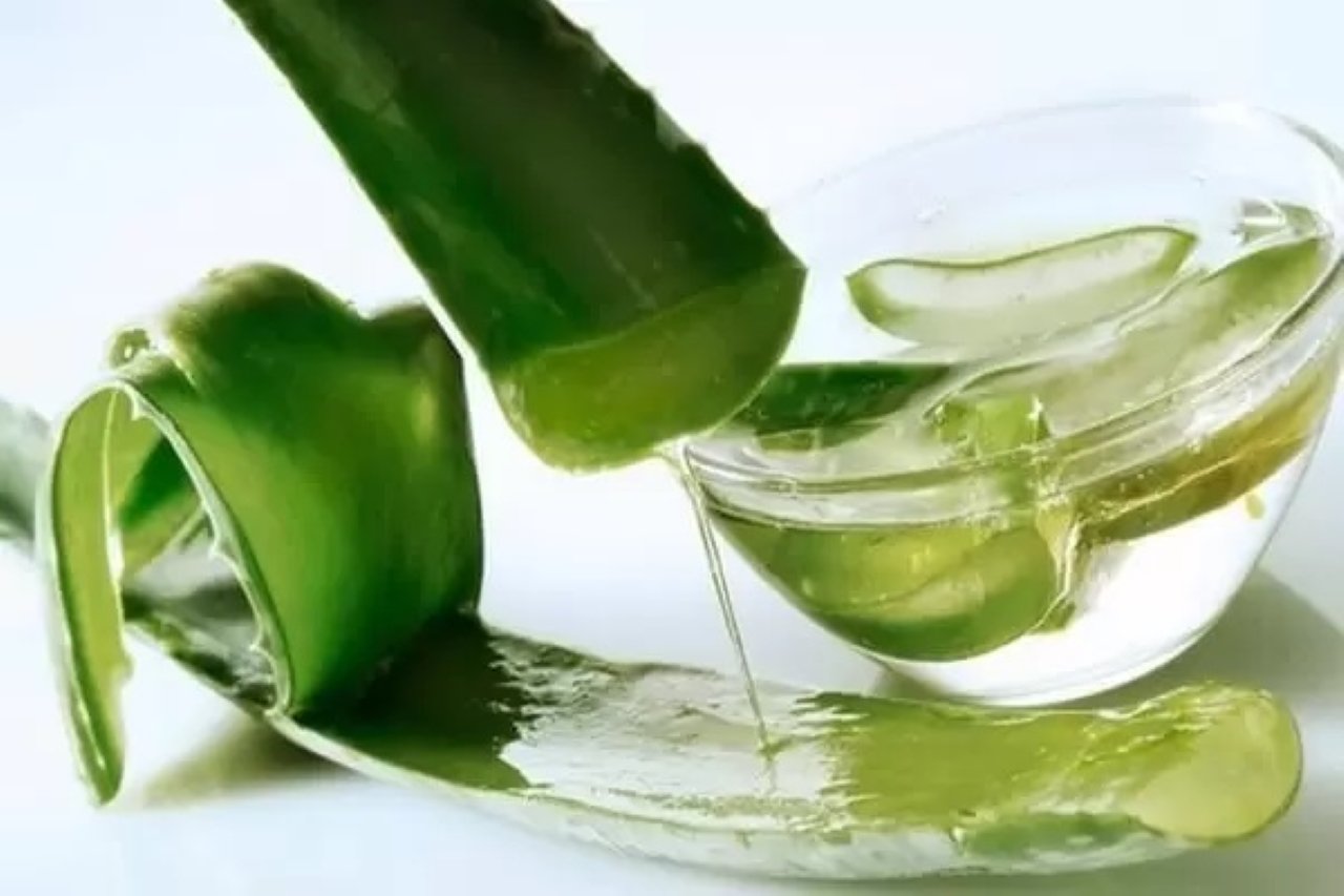 Bạn có thể sử dụng nha đam hay gel lô hội để làm dịu làn da bị cháy nắng, tăng cường dưỡng ẩm hiệu quả.
