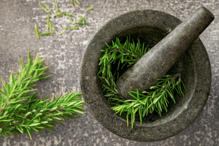 hương thảo trong cối