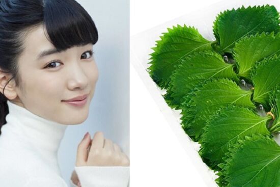 Đánh bay nám da chỉ trong thời gian ngắn với loại lá quen thuộc trong vườn nhà