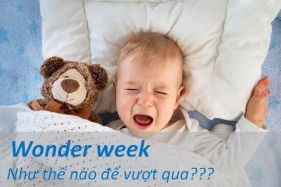 Giáo trình rèn tự ngủ và sinh hoạt - Bài 29: Khủng hoảng