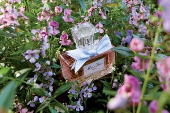 Thảo nguyên xa xăm thắm đẫm mùi hương