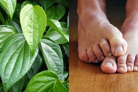 Bỏ túi cách phòng ngừa hôi chân và mẹo xử lý tình trạng này nhanh hiệu quả