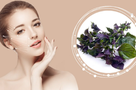 6 công thức điều trị tàn nhang bằng lá tía tô đơn giản hiệu quả
