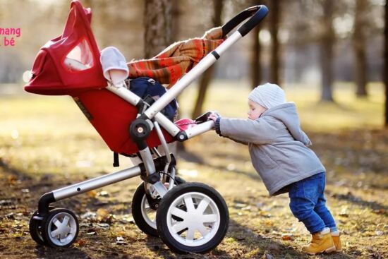 Top 10 loại xe đẩy gấp gọn tốt hiện nay