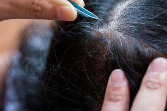 Thói quen nhổ tóc sâu gây hại như thế nào đến tóc và da đầu?