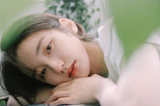 Moringa (chùm ngây) – Kho tàng dinh dưỡng cho sức khỏe và sắc đẹp