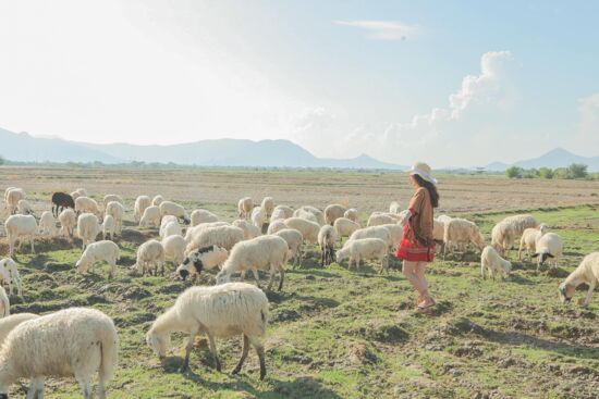 Cách chỉnh ảnh tone màu: nắng mùa xuân