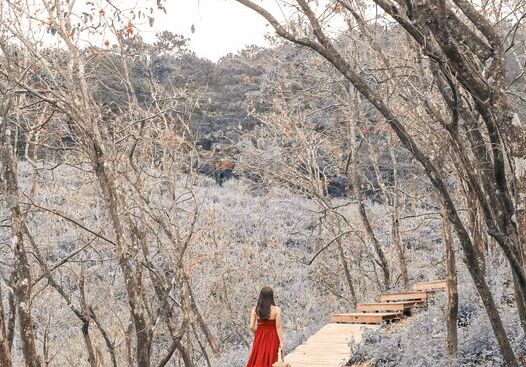 Làm sao để da không bị khô mốc tróc vảy mùa hanh khô?