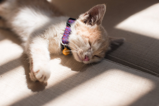 Sống ở trên đời, xin đừng sân si, tự cho mình quyền phán xét người khác