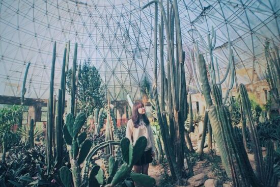 13 điều những người mạnh mẽ không làm