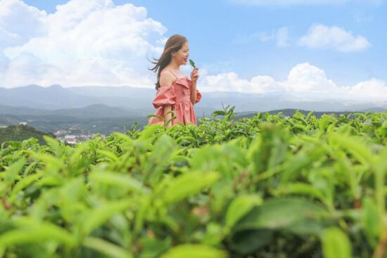 Bổ sung collagen cho da có thật sự cần thiết không?