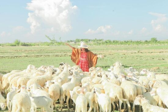 Đừng tự xem nóng nảy là cá tính, hãy sông thật, chẳng qua là EQ thấp