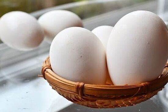 Ăn trứng ngỗng khi mang thai có giúp con thông minh như đồn đại?