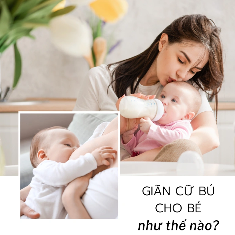 Giáo trình rèn sữa - giãn cữ bú